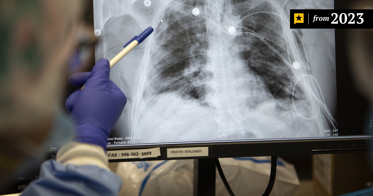 健康・医学 Tuberculosis Tuberculosis | Concise Medical Knowledge